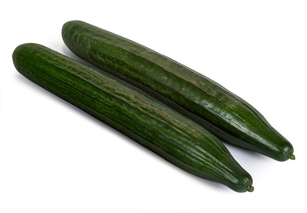 cucumbers greenhouse